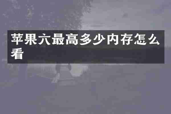 苹果六最高多少内存怎么看