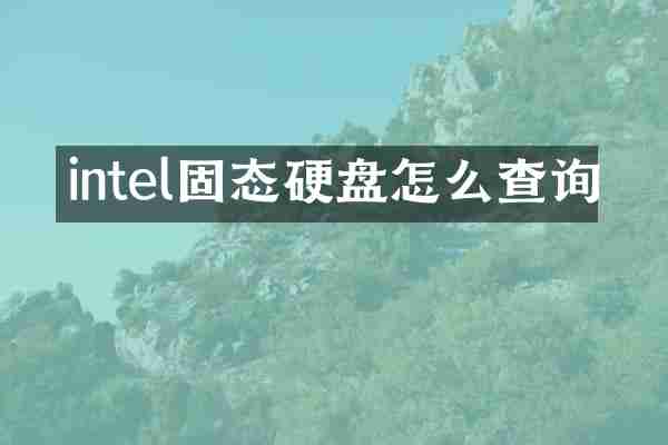 intel固态硬盘怎么查询