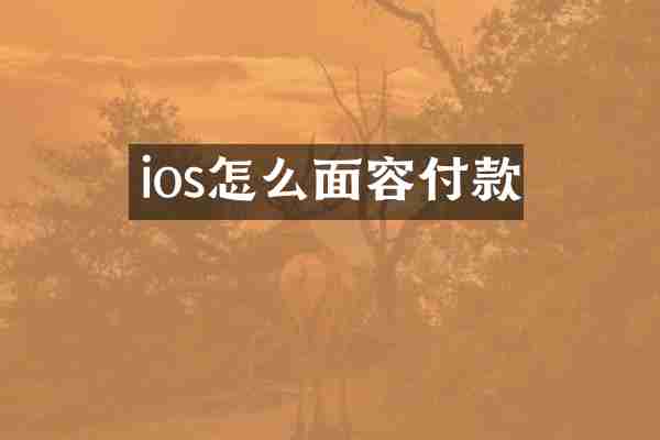 ios怎么面容付款