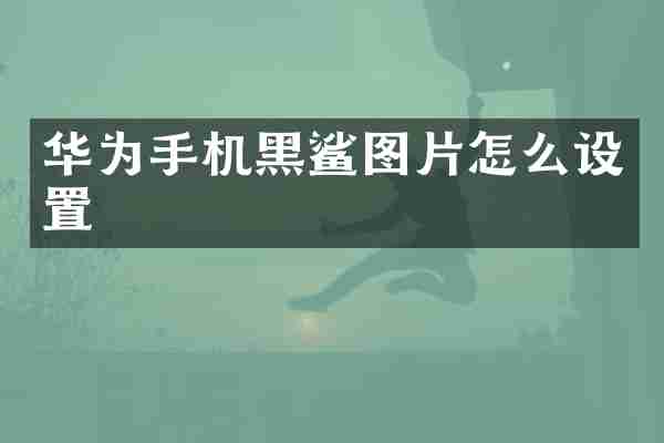 华为手机黑鲨图片怎么设置