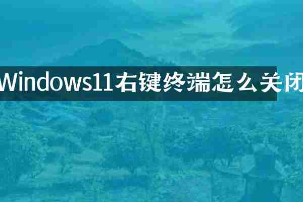 Windows11右键终端怎么关闭