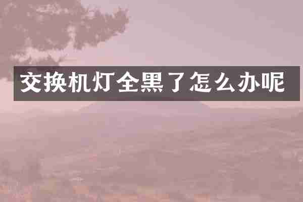 交换机灯全黑了怎么办呢