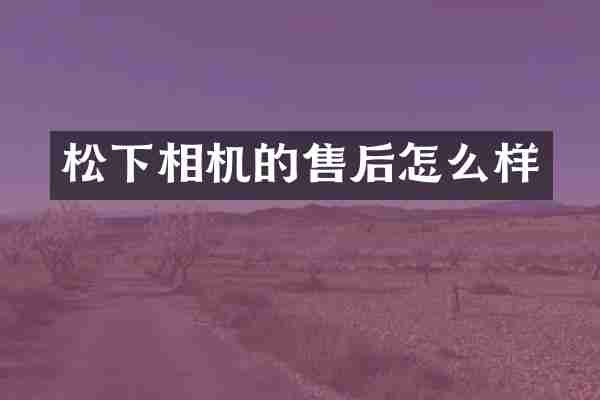 松下相机的售后怎么样