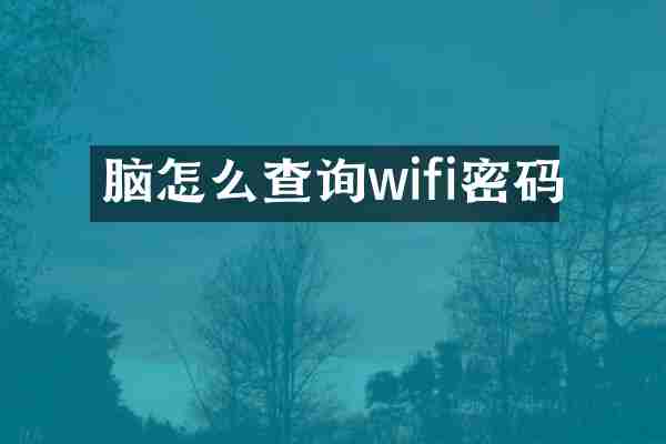 脑怎么查询wifi密码