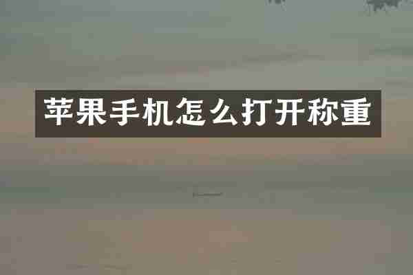 苹果手机怎么打开称重