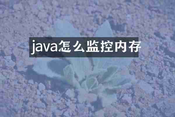 java怎么监控内存
