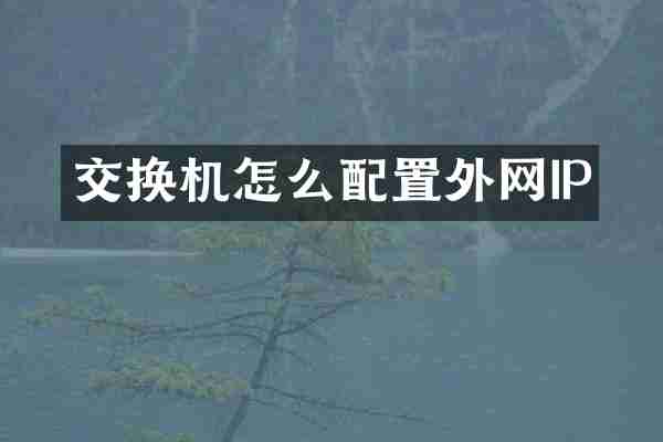 交换机怎么配置外网IP