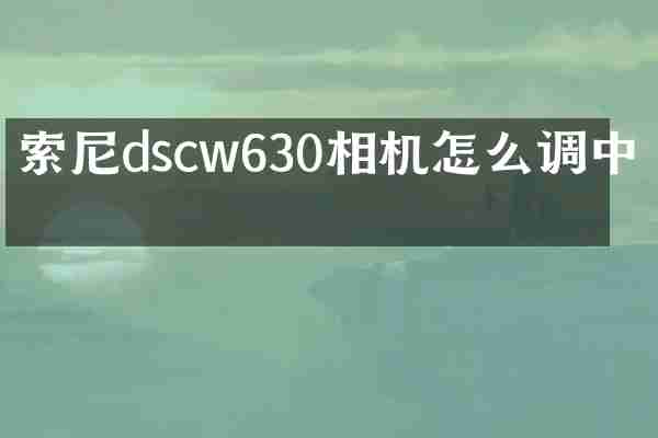 dscw630相机怎么调中文
