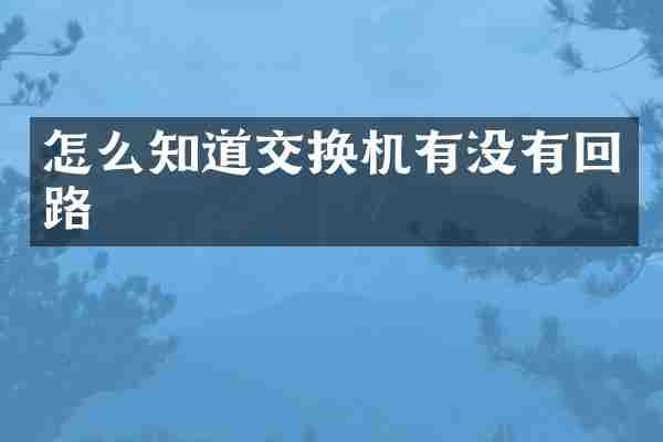 怎么知道交换机有没有回路