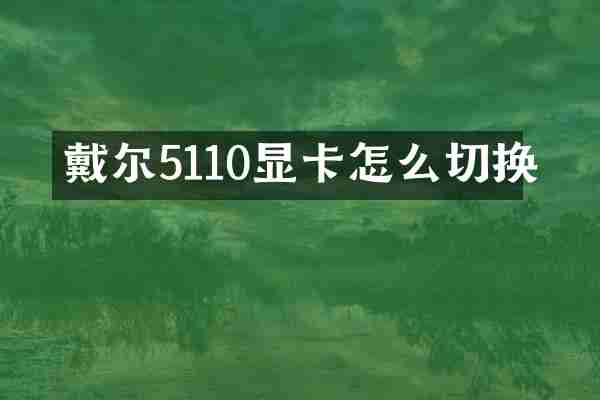 戴尔5110显卡怎么切换