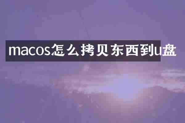 macos怎么拷贝东西到u盘