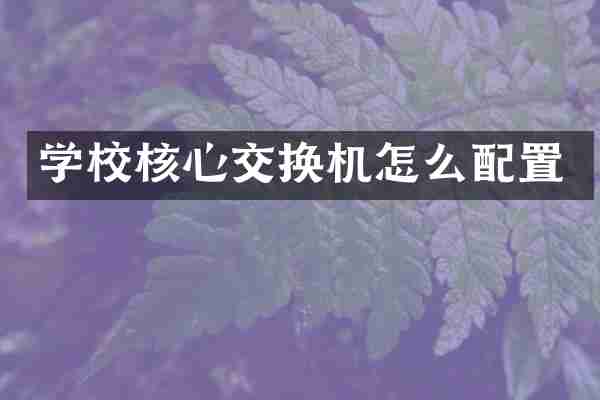 学校核心交换机怎么配置