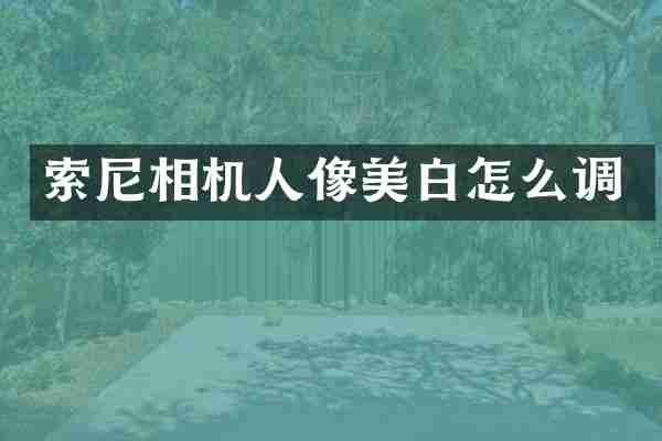 相机人像美白怎么调