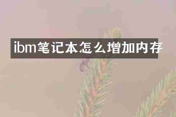 ibm笔记本怎么增加内存