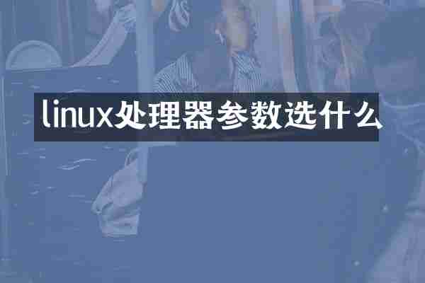 linux处理器参数选什么