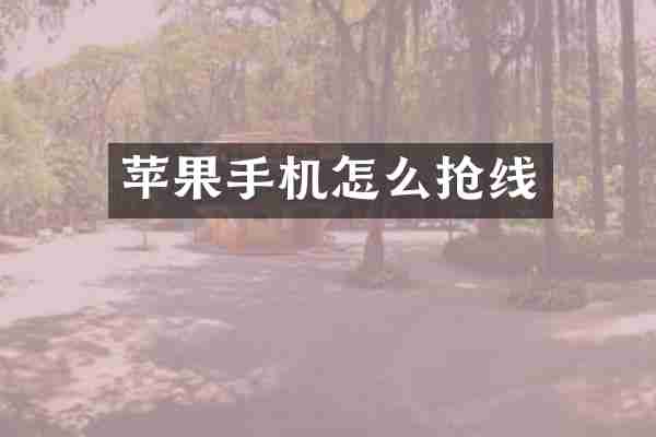 苹果手机怎么抢线