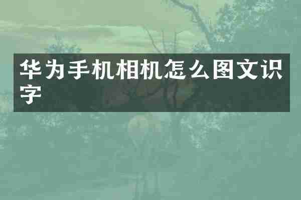 华为手机相机怎么图文识字