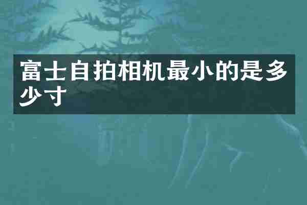 富士自拍相机最小的是多少寸