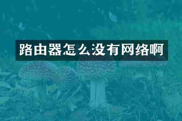 路由器怎么没有网络啊