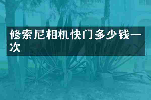 修索尼相机快门多少钱一次