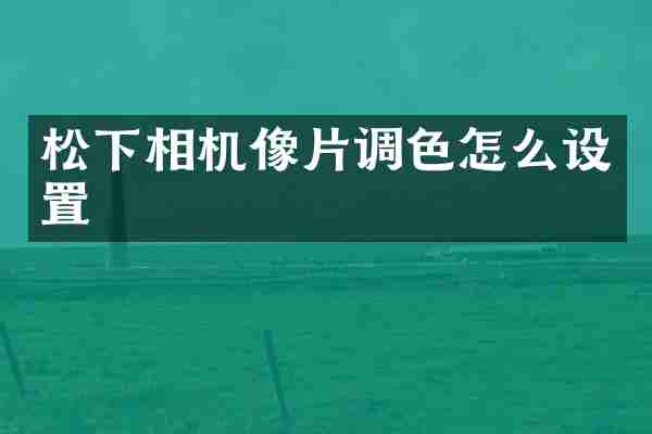 松下相机像片调色怎么设置