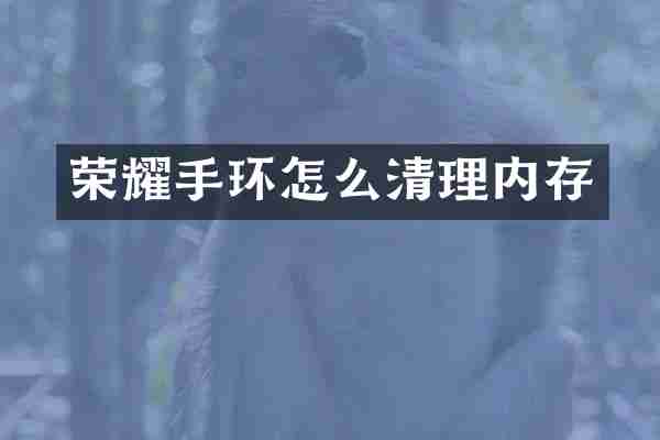 荣耀手环怎么清理内存
