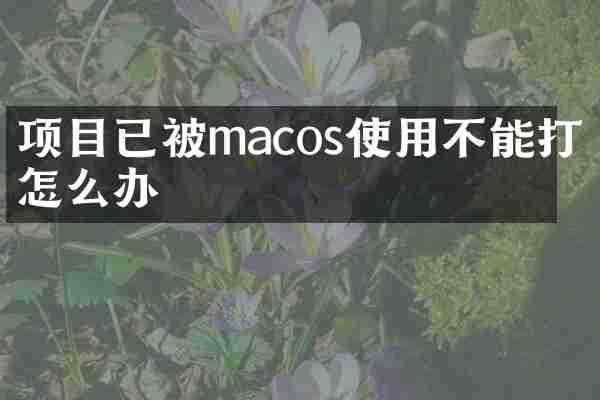 项目已被macos使用不能打开怎么办