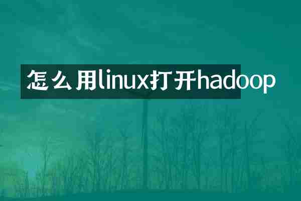 怎么用linux打开hadoop