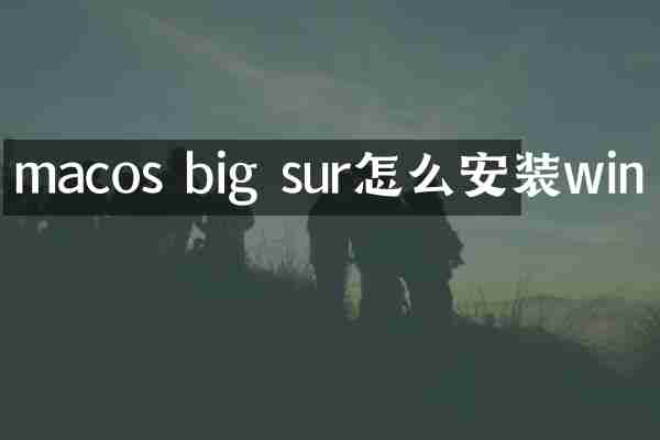 macos big sur怎么安装win