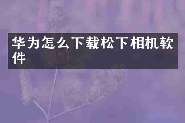 华为怎么下载松下相机软件
