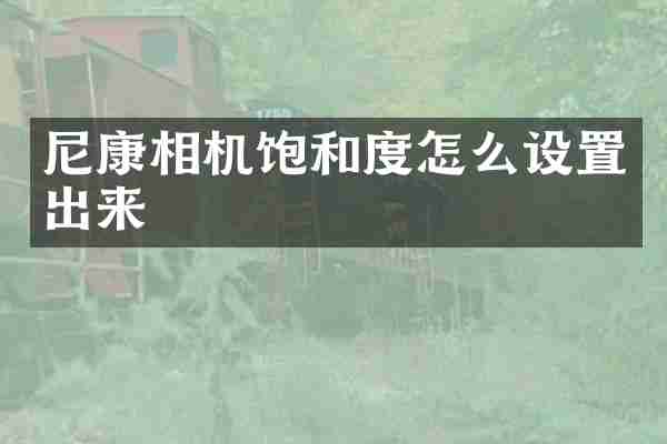 尼康相机饱和度怎么设置出来
