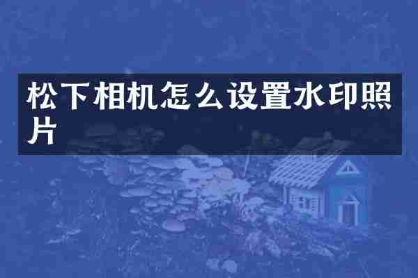 松下相机怎么设置水印照片