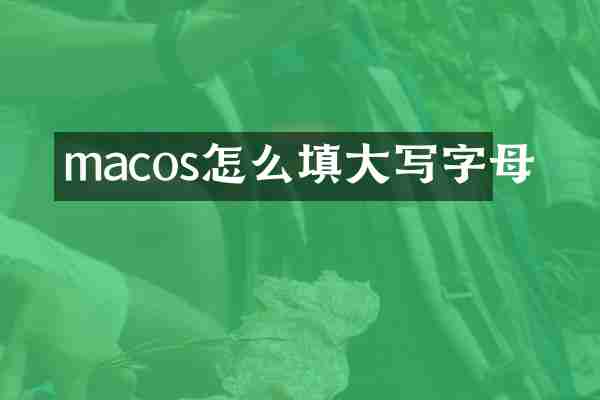 macos怎么填大写字母
