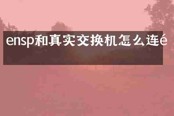 ensp和真实交换机怎么连通