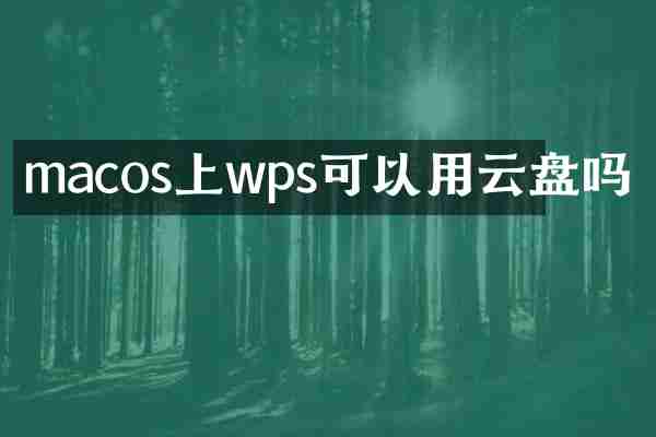 macos上wps可以用云盘吗