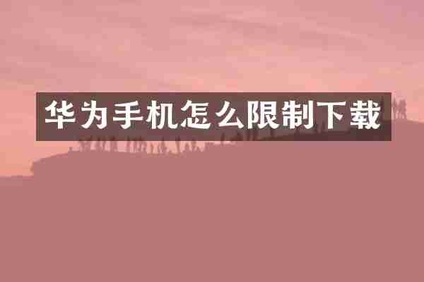 华为手机怎么限制下载