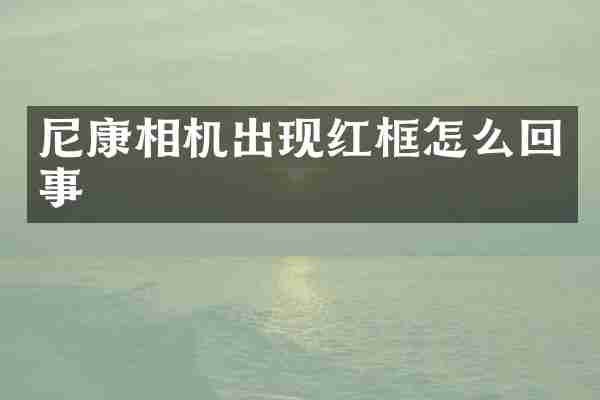 尼康相机出现红框怎么回事