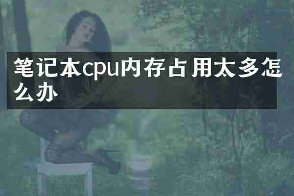 笔记本cpu内存占用太多怎么办