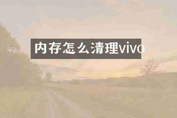 内存怎么清理vivo