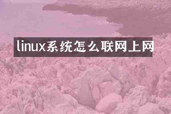 linux系统怎么联网上网