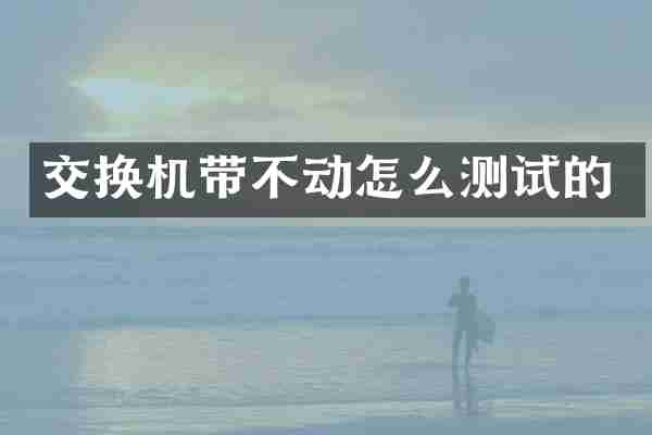 交换机带不动怎么测试的