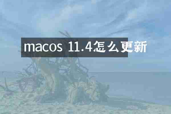 macos 11.4怎么更新