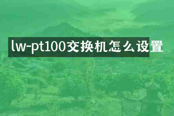 lw-pt100交换机怎么设置