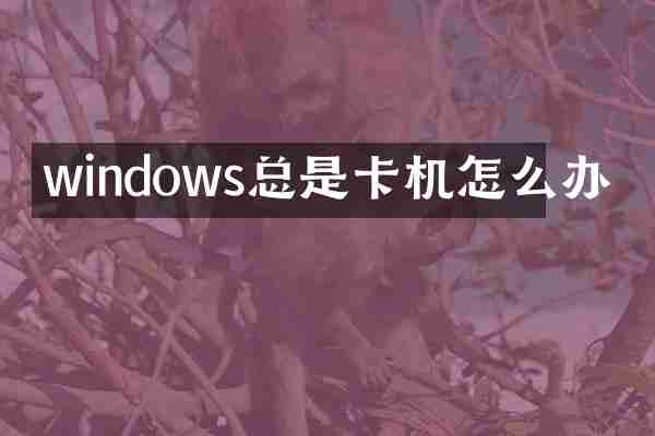 windows总是卡机怎么办