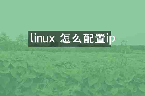 linux 怎么配置ip