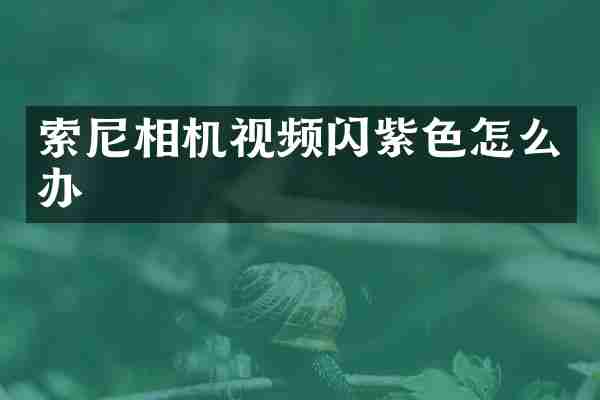 索尼相机视频闪紫色怎么办