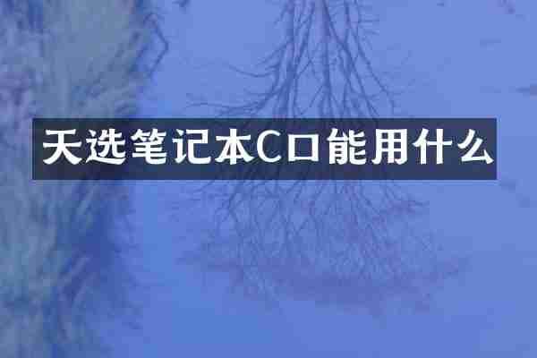 天选笔记本C口能用什么
