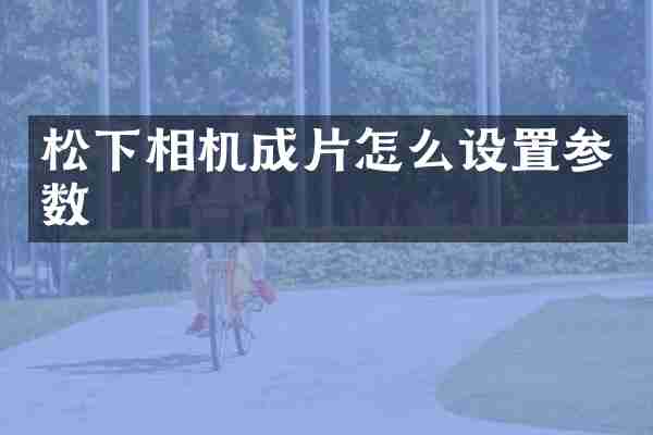 松下相机成片怎么设置参数