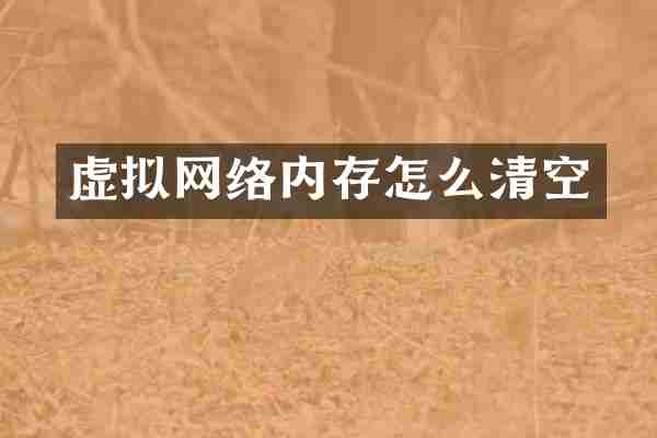 虚拟网络内存怎么清空