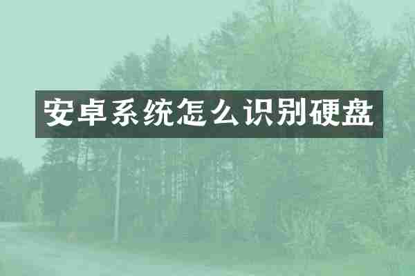 安卓系统怎么识别硬盘